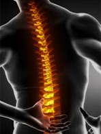 Résultats immédiats des ajustements chiropratiques visibles sur résonance magnétique